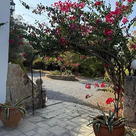 Charming Boutique In Catalkoey