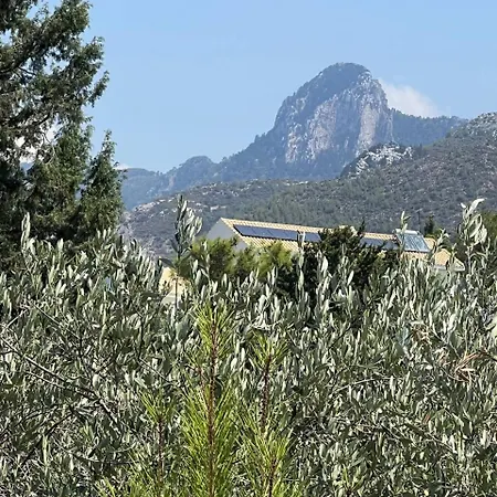 Villa Charming Boutique In Catalkoey *